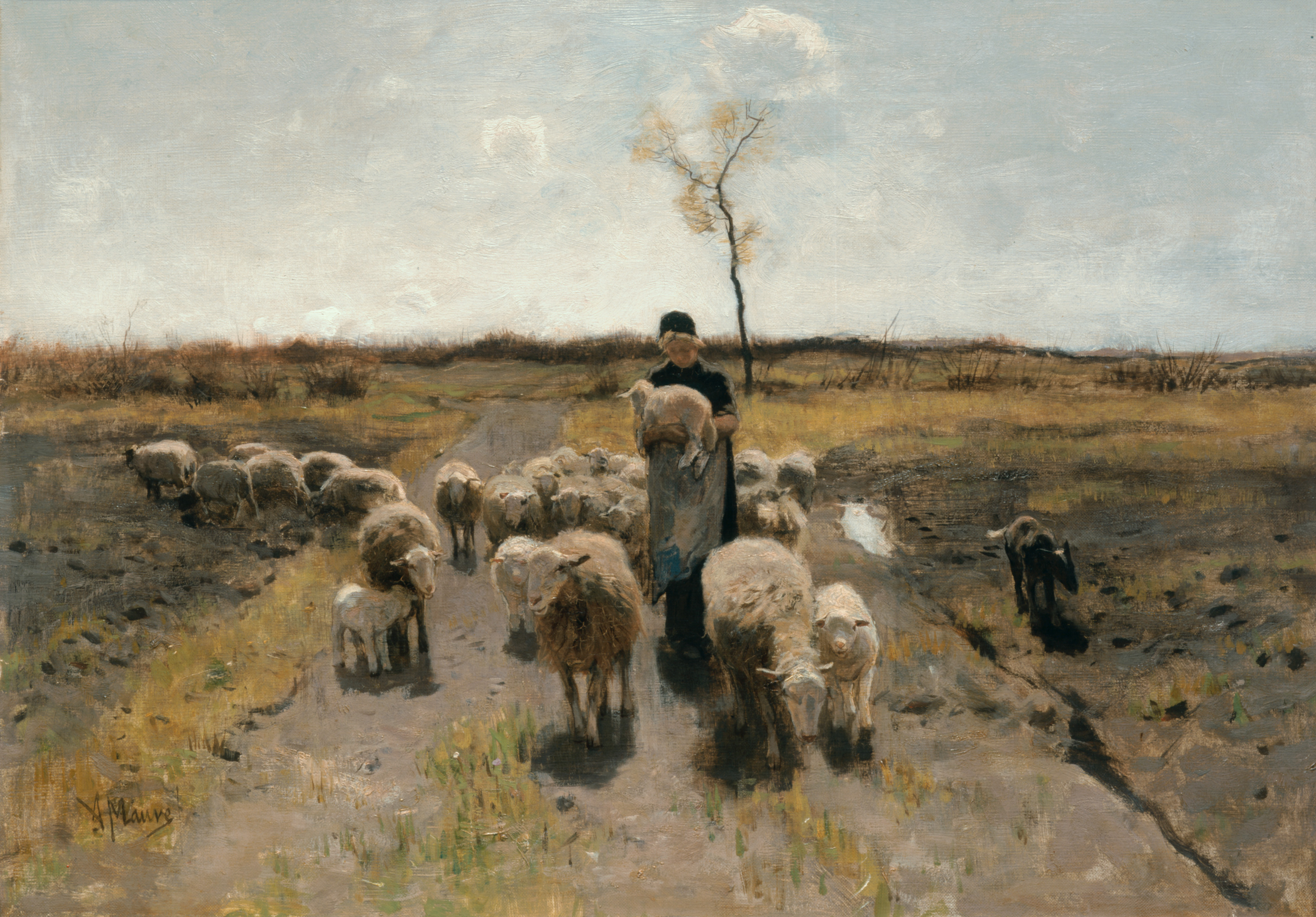 The Newborn Lamb (1884)