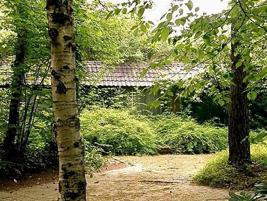 verscholen in het groen, de Blaskowitzbunker