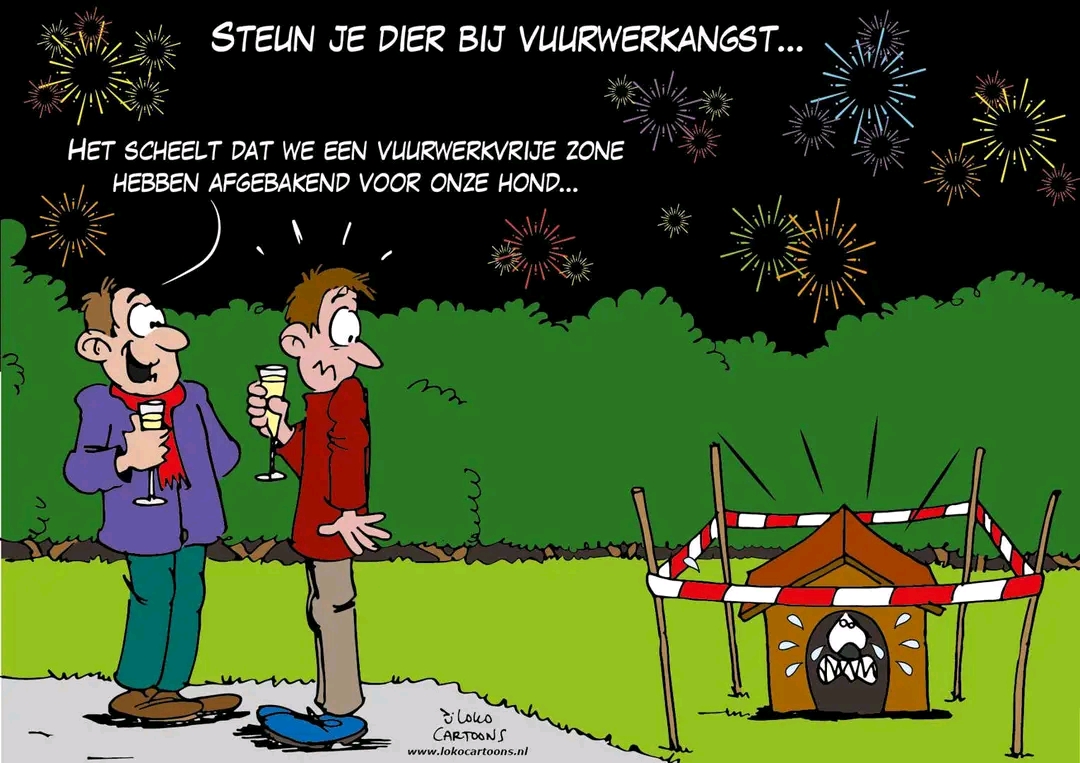 vuurwerkvrije zone
