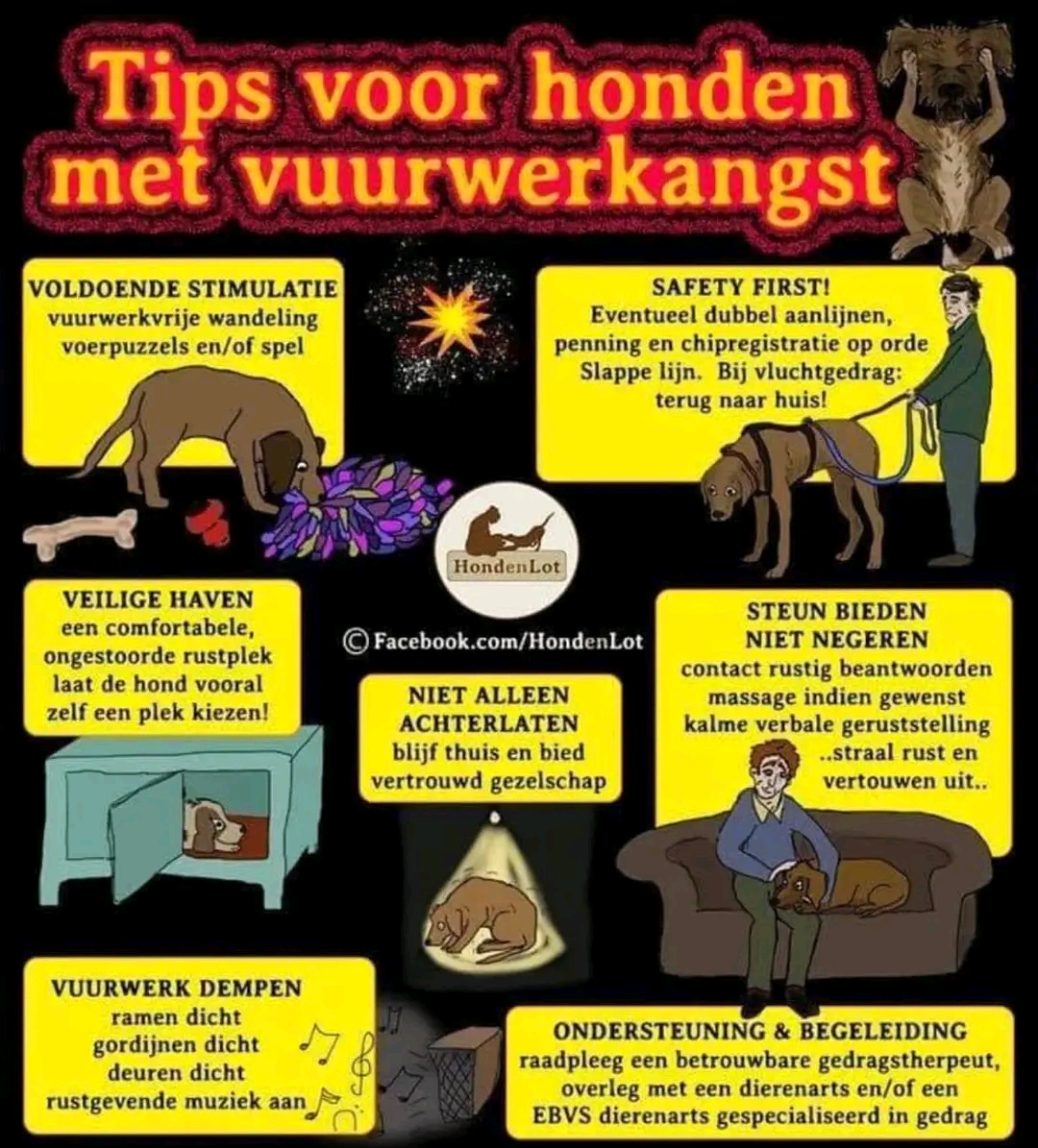 tips voor honden met vuurwerkangst